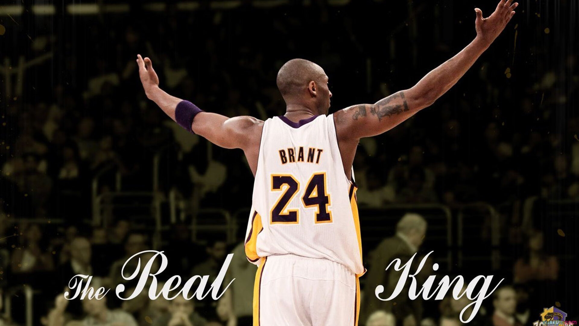 青少年体育锻炼动机理论研究，青少年体育锻炼的价值与意义