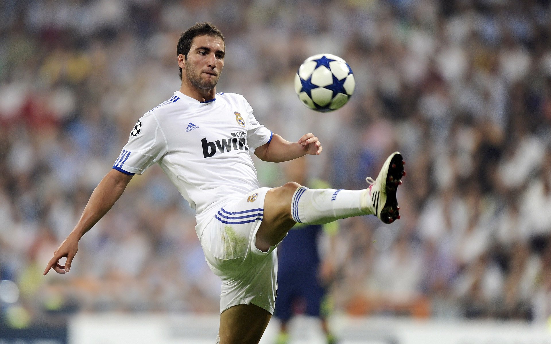 米兰体育网-巴西国家队连续夺得世界杯五次，成为历史最强球队，历届巴西国家队世界杯名次