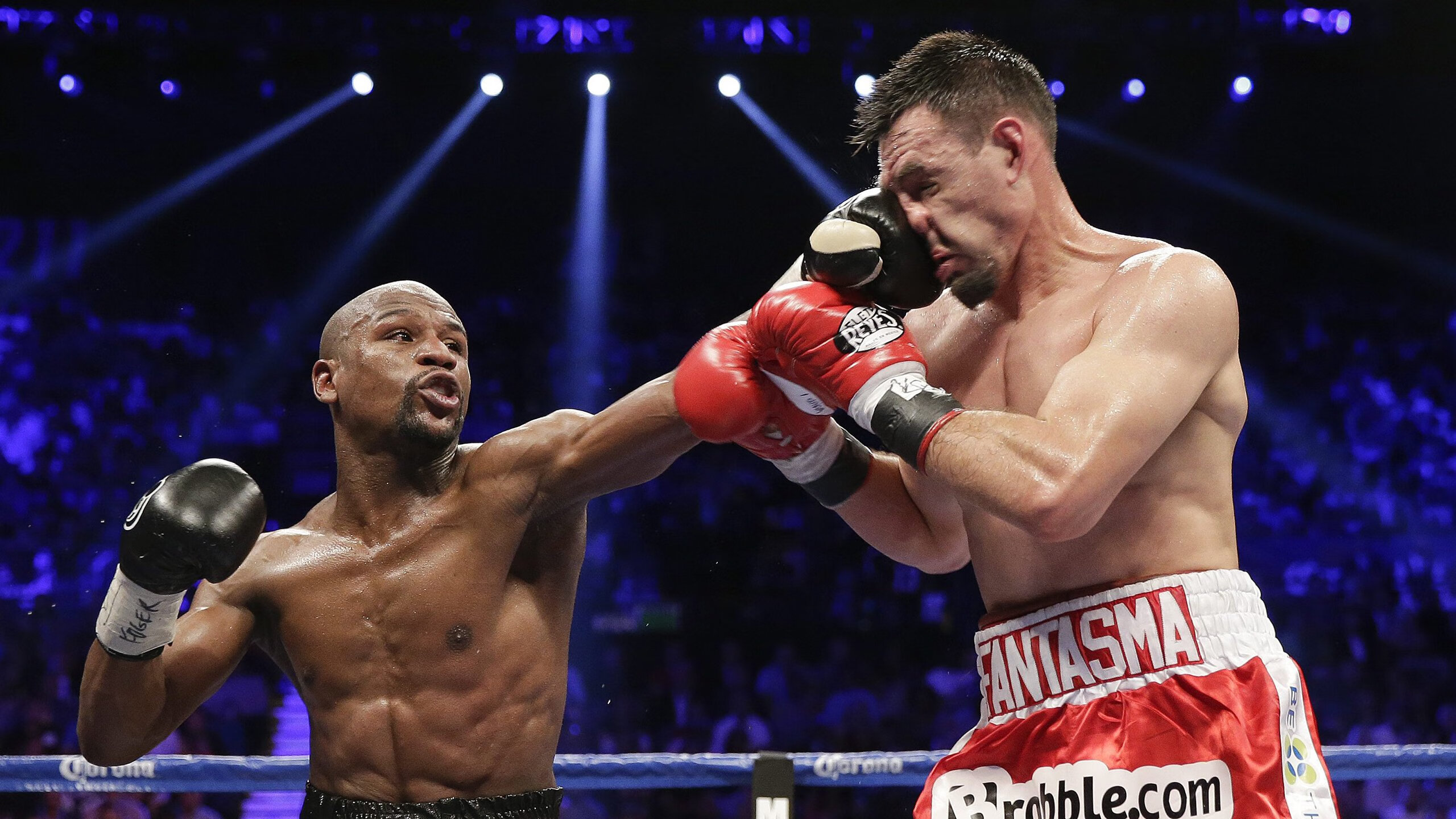 政策支持倾斜女子橄榄球发展，女子职业橄榄球