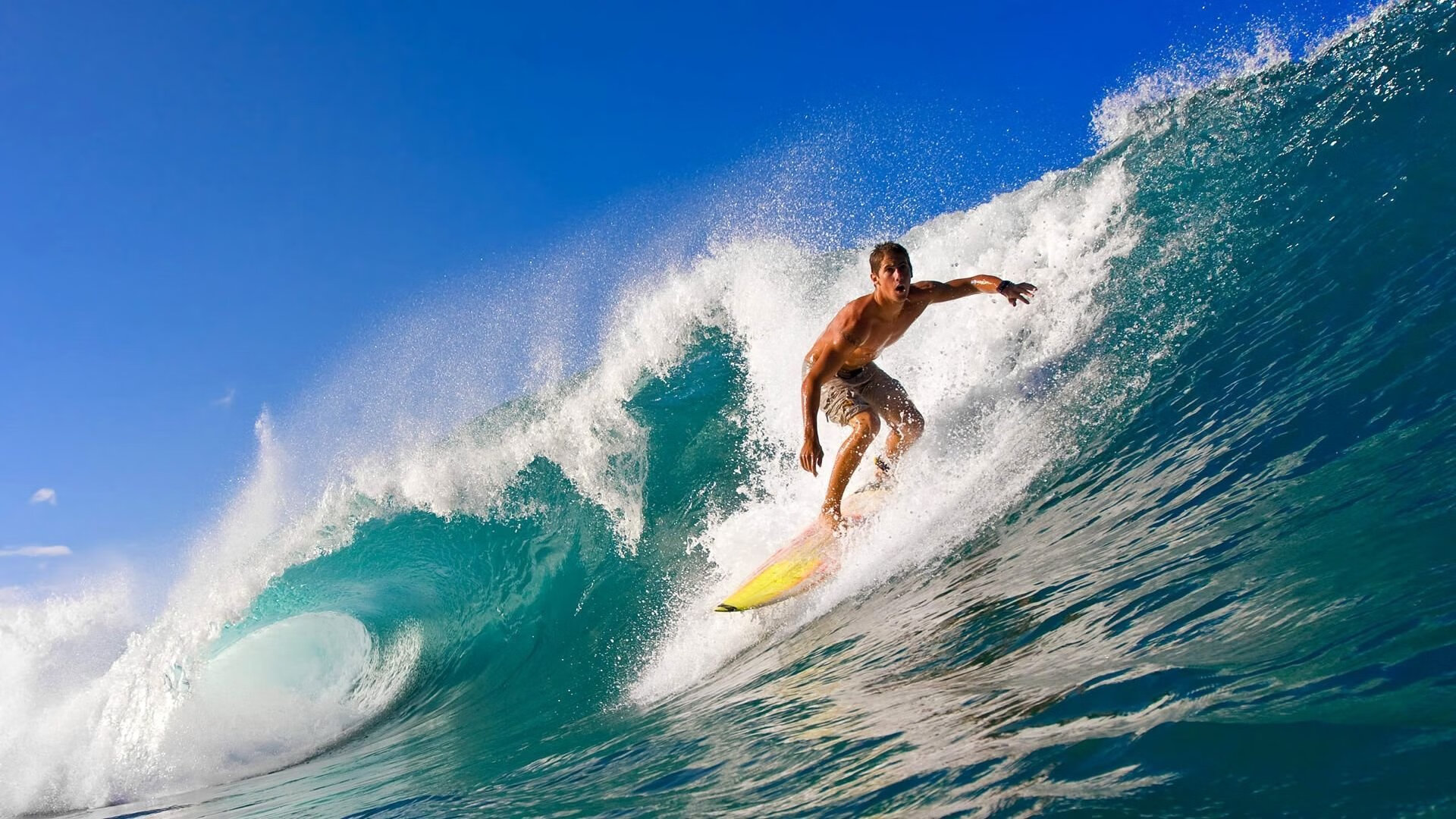 米兰体育在线-青训行业“标准+规范”体系持续优化，“行业白皮书”正式发布，青训制度